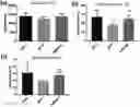 Fig. 01 - KIMCHI LACTOBACILLUS SAKEI HAVING PROPHYLACTIC, AMELIORATING OR THERAPEUTIC EFFECT ON DEPRESSION AND ANXIETY DISORDERS
