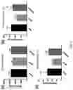 Fig. 03 - KIMCHI LACTOBACILLUS SAKEI HAVING PROPHYLACTIC, AMELIORATING OR THERAPEUTIC EFFECT ON DEPRESSION AND ANXIETY DISORDERS
