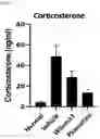Fig. 04 - KIMCHI LACTOBACILLUS SAKEI HAVING PROPHYLACTIC, AMELIORATING OR THERAPEUTIC EFFECT ON DEPRESSION AND ANXIETY DISORDERS