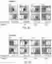 Fig. 06 - PHARMACEUTICAL DELIVERY COMPOSITIONS AND USES THEREOF