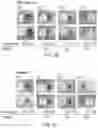 Fig. 07 - PHARMACEUTICAL DELIVERY COMPOSITIONS AND USES THEREOF
