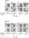 Fig. 08 - PHARMACEUTICAL DELIVERY COMPOSITIONS AND USES THEREOF