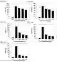 Fig. 03 - Composition for preventing or treating osteoporosis
