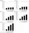 Fig. 04 - Composition for preventing or treating osteoporosis