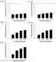 Fig. 05 - Composition for preventing or treating osteoporosis