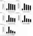 Fig. 07 - Composition for preventing or treating osteoporosis