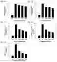 Fig. 08 - Composition for preventing or treating osteoporosis