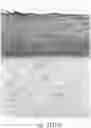 Fig. 01 - HYALURONIC ACID STABILIZER