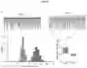 Fig. 05 - SELF-ASSEMBLING VEGF NANOPARTICLES
