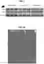 Fig. 02 - MATERIALS AND METHODS FOR MODULATING GLUCOSE UPTAKE