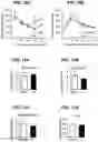 Fig. 12 - MATERIALS AND METHODS FOR MODULATING GLUCOSE UPTAKE
