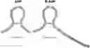 Fig. 01 - COMBINATION TREATMENT FOR RESISTANT HYPERTENSION