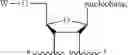 Fig. 248 - Releasable GLP-1 conjugates