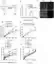 Fig. 01 - ALBUMIN NANOPARTICLES, THE MAKING METHOD, AND USES THEREOF
