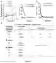 Fig. 03 - ALBUMIN NANOPARTICLES, THE MAKING METHOD, AND USES THEREOF