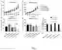 Fig. 07 - ALBUMIN NANOPARTICLES, THE MAKING METHOD, AND USES THEREOF