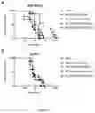 Fig. 09 - ALBUMIN NANOPARTICLES, THE MAKING METHOD, AND USES THEREOF