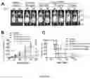 Fig. 10 - ALBUMIN NANOPARTICLES, THE MAKING METHOD, AND USES THEREOF