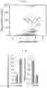 Fig. 02 - COMPOSITION AND METHODS FOR MODULATION OF ELOVL2