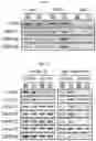 Fig. 05 - COMPOSITION AND METHODS FOR MODULATION OF ELOVL2