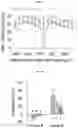Fig. 12 - COMPOSITION AND METHODS FOR MODULATION OF ELOVL2