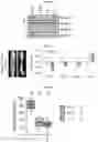 Fig. 29 - COMPOSITION AND METHODS FOR MODULATION OF ELOVL2