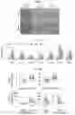 Fig. 34 - COMPOSITION AND METHODS FOR MODULATION OF ELOVL2