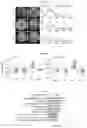 Fig. 35 - COMPOSITION AND METHODS FOR MODULATION OF ELOVL2