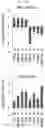 Fig. 37 - COMPOSITION AND METHODS FOR MODULATION OF ELOVL2