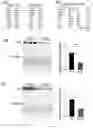 Fig. 08 - EXERCISE-INDUCED CIRCULATORY FACTORS FOR AMELIORATION OF COGNITIVE, NEUROLOGICAL, AND REGENERATIVE DYSFUNCTION DURING AGING