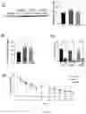 Fig. 11 - EXERCISE-INDUCED CIRCULATORY FACTORS FOR AMELIORATION OF COGNITIVE, NEUROLOGICAL, AND REGENERATIVE DYSFUNCTION DURING AGING