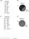 Fig. 13 - EXERCISE-INDUCED CIRCULATORY FACTORS FOR AMELIORATION OF COGNITIVE, NEUROLOGICAL, AND REGENERATIVE DYSFUNCTION DURING AGING