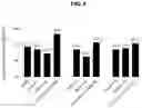 Fig. 06 - COMPOSITIONS COMPRISING SULFORAPHANE OR A SULFORAPHANE PRECURSOR AND A MILK THISTLE EXTRACT OR POWDER