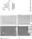 Fig. 06 - METHODS AND COMPOSITIONS RELATED TO IMPROVED FACTOR VIII LONG HALF-LIFE COAGULATION COMPLEXES