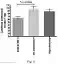 Fig. 04 - SEA LICE VACCINES