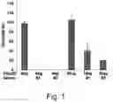 Fig. 02 - Modulation of proprotein convertase subtilisin/kexin 9 expression (PCSK9) with HSP 27 and/or HSP25