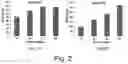 Fig. 03 - Modulation of proprotein convertase subtilisin/kexin 9 expression (PCSK9) with HSP 27 and/or HSP25