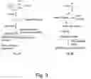 Fig. 04 - Modulation of proprotein convertase subtilisin/kexin 9 expression (PCSK9) with HSP 27 and/or HSP25
