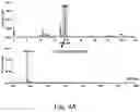 Fig. 05 - Modulation of proprotein convertase subtilisin/kexin 9 expression (PCSK9) with HSP 27 and/or HSP25