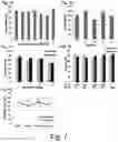 Fig. 11 - Modulation of proprotein convertase subtilisin/kexin 9 expression (PCSK9) with HSP 27 and/or HSP25