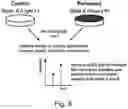 Fig. 12 - Modulation of proprotein convertase subtilisin/kexin 9 expression (PCSK9) with HSP 27 and/or HSP25