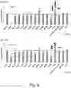 Fig. 13 - Modulation of proprotein convertase subtilisin/kexin 9 expression (PCSK9) with HSP 27 and/or HSP25