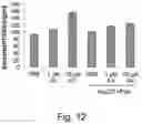 Fig. 16 - Modulation of proprotein convertase subtilisin/kexin 9 expression (PCSK9) with HSP 27 and/or HSP25