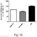 Fig. 17 - Modulation of proprotein convertase subtilisin/kexin 9 expression (PCSK9) with HSP 27 and/or HSP25