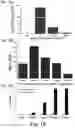 Fig. 22 - Modulation of proprotein convertase subtilisin/kexin 9 expression (PCSK9) with HSP 27 and/or HSP25