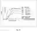 Fig. 23 - Modulation of proprotein convertase subtilisin/kexin 9 expression (PCSK9) with HSP 27 and/or HSP25