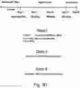 Fig. 24 - Modulation of proprotein convertase subtilisin/kexin 9 expression (PCSK9) with HSP 27 and/or HSP25