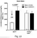 Fig. 27 - Modulation of proprotein convertase subtilisin/kexin 9 expression (PCSK9) with HSP 27 and/or HSP25