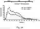 Fig. 28 - Modulation of proprotein convertase subtilisin/kexin 9 expression (PCSK9) with HSP 27 and/or HSP25