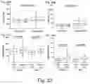 Fig. 36 - Modulation of proprotein convertase subtilisin/kexin 9 expression (PCSK9) with HSP 27 and/or HSP25